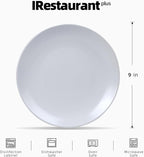 Stoneware Coupe Commercial Grade Dinnerware, Matte White, Plate 9", Case of 24