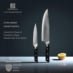 10C Kitchen Knife Set 2pc,8" Chef Knife & 5.5" Utility Knife,VG10 High Carbon Stainless Steel,6-Star Sharp Standard,G10 Black Handle,Love's Gift Box