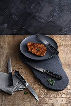 Cangshan TV2 Series 1022889 Swedish 14C28N Steel Forged 4-Piece Steak Knife Set