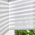 Persilux Zebra Blinds for Windows, Cordless Roller Blinds (34.5" W x 72" H, White) Light Filtering Sheer Window Treatments, Light Control for Day and Night, Room Darkening Roller Shades for Windows
