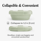 STOJO Collapsible Sandwich Box – 24oz, Reusable Food Storage Container, Silicone Bowl for Hot/Cold Food – Meal Prep, Lunch, Camping, Hiking – Dishwasher Safe (Set of 1, Sage)
