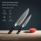 10C Kitchen Knife Set 2pc,8" Chef Knife & 5.5" Utility Knife,VG10 High Carbon Stainless Steel,6-Star Sharp Standard,G10 Black Handle,Love's Gift Box