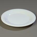 Carlisle FoodService Products Sierrus Reusable Plastic Plate with Wide Rim for Buffets, Restaurants, and Homes, Melamine, 9 Inches, White, (Pack of 24)