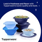 Tupperware Heritage Collection, New 10 Piece Food Storage Container Set in Vintage Blue, Dishwasher Safe and BPA Free (5 Bowls, 5 Lids)