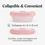 STOJO Collapsible Sandwich Box – 24oz, Reusable Food Storage Container, Silicone Bowl for Hot/Cold Food – Meal Prep, Lunch, Camping, Hiking – Dishwasher Safe (Set of 1, Carnation Pink)