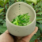 Pottery Herb Stripper Bowl, 2025 Upgrade Pottery Herb Stripper Cup Ceramic Herb Peeling Cup, Handmade Different Round Hole Sizes Suitable for Peeling Off The Leafy Assembly (A)