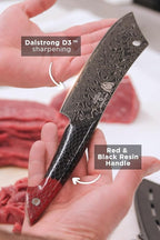Dalstrong Crixus Chef Knife - 8 inch - Scorpion Series - Exclusive Japanese V12 Ultra™ Steel - Black Damascus - Black & Red Honeycomb Resin Handle - Versatile Chopping Kitchen Knife Leather Sheath