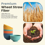 Homienly Wheat Straw Small Bowls, Unbreakable Dessert Bowls 8 PCS, 10 OZ Small Plastic Bowl for Kitchen, Microwave & Dishwasher Safe Mini Bowl for Snack, Ice Cream, Yogurt,Portion Control(Multi)
