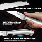 DDF iohEF Steak Knife Set, 6 Piece Steak Knife, High Carbon Japanese Stainless Steel Serrated Steak Knives