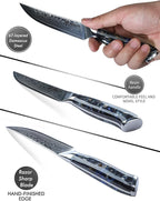 Steak Knives Set of 4, Ultra Sharp Non Serrated Kitchen Steak Knife 5 Inch - Damascus Steel & Resin Handle - Xuan Series (Starry Black)