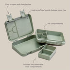 nouka Design Bento Lunch Box | Easy to Open Latches | Spill Proof Design | 6-Compartment Removable Tray | Fairy Bush