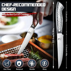 DRAGON RIOT Steak Knives Set of 8 Serrated Edge Steak Knife Set Japanese Stainless Steel Dinner Knife Diswasher Safe
