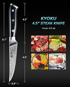 KYOKU Gin Series Steak Knife Set of 4, 4.5" Steak Knives, Japanese VG10 Damascus Stainless Steel Kitchen Knife Set with Silver Ion Blades G10 Handles Mosaic Pins, Cutlery Set w/Sheaths & Case