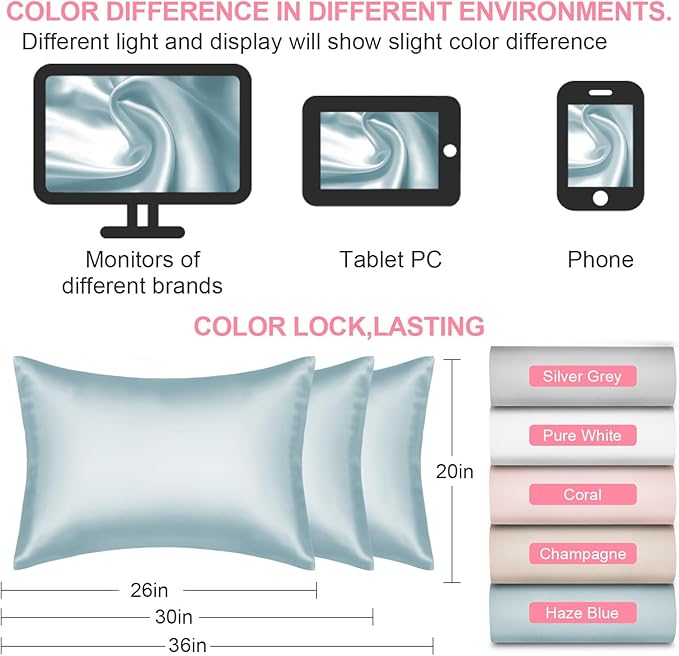 Mulberry Silk Pillow Cases 2 Pack Queen Size 20x30 Inches with Hidden Zipper, Ultra Smooth and Soft Breathable Cooling Silk Satin Pillowcase Set of 2, Better for Hair and Skin, Gifts for Women Men