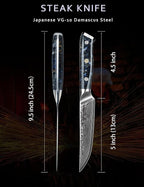 Steak Knives Set of 4, Ultra Sharp Non Serrated Kitchen Steak Knife 5 Inch - Damascus Steel & Resin Handle - Xuan Series (Starry Black)