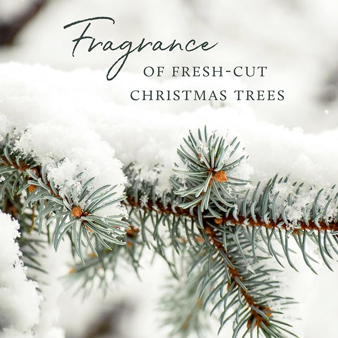 Thymes Frasier Fir Reed Diffuser Set – Includes Reeds, Fragrance Oil, and Frosted Glass Bottle – Fragrance Oil Diffuser – Room Fresheners – Luxury Home Decor – Silver (Statement, 4 fl oz)