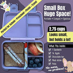 BEARFOOT Kids Lunch Box with Compartments – Compact & Lightweight | Leak-Proof, BPA-Free, Dishwasher & Microwave Safe | Hand-Drawn Design for Preschool, School, Travel (Purple, 2.75 Cups)