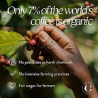Cru Kafe Bright Roast USDA Organic Espresso Coffee Capsules (50 Pods) Fairtrade Coffee Pods Compatible with Nespresso Original Line and Pixie Machines