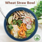 Homienly Soup Bowls, Cereal Bowl, Premium Wheat Straw Bowls Set of 8, Unbreakable Plastic Bowls Microwave Safe, Dishwasher Safe Serving Bowl for Kitchen, Breakfast, Dinner, Salad, Poke (Blue, 26 OZ)