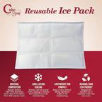 Cakebon 10-Inch Insulated Cake Bag with Ice Pack Sheets – Premium Cooling Solution for Cakes, Pastries & Cupcakes – Durable, Reusable, Moisture-Proof Design for Bakers & Food Deliveries (1-pack)
