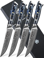 Steak Knives Set of 4, Ultra Sharp Non Serrated Kitchen Steak Knife 5 Inch - Damascus Steel & Resin Handle - Xuan Series (Starry Black)