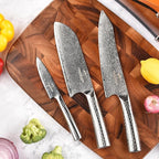 Damascus Kitchen Knife Set with Block, 4 Pieces Knife Block Set with Hammered Patterns Ergonomic Handles, 67 Layer Handmade Damascus VG10 Steel Core NF-D0519T-4B