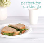 100 Count Disposable 9 Inch White Plastic Dinner Plates large