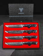 Steak Knives Set of 4, Ultra Sharp Non Serrated Kitchen Steak Knife 5 Inch - Damascus Steel & Resin Handle - Xuan Series (Starry Black)