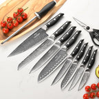 Damascus Knife Set with Block for Kitchen, VG10 Core Damascus Steel Chef Knife Set with Triple-Rivet Handle, Knife Sharpener, 16PCS with Ash Wood Knife Block
