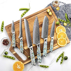 13-Piece Awabi Knife Block Set – Premium VG-10 Damascus Steel Knives with Abalone Shell Resin Handles