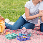 Bento Box Adult Lunch Box - 4 Pack, 5 - Compartment Meal Prep Container for Kids, Reusable Food Storage Snack Containers - Stackable for School, Work, and Travel (PP(Blue/Pink/Green/Purple))