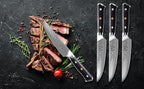 Steak Knife Set - 4 Piece - 5 Inch Damascus Steel AUS-10V High Carbon Steel Blade - G-10 Garolite Ergonomic Handle